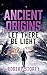 LET THERE BE LIGHT (Ancient Origins Book 3)