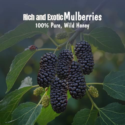 Image of Eatopia Sugar Free Mulberry Honey Jam | 100% Pure & Natural | Healthy Jam for Kids & Adults | No Added Flavours & Preservatives | 70% Real Mulberries | Sweetness from Real Fruits & Honey | Pack of 1 | 240g