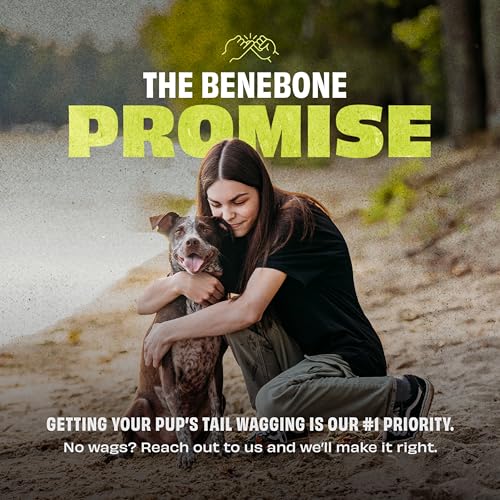 Image of Benebone Rubber Ball, 4-Pack