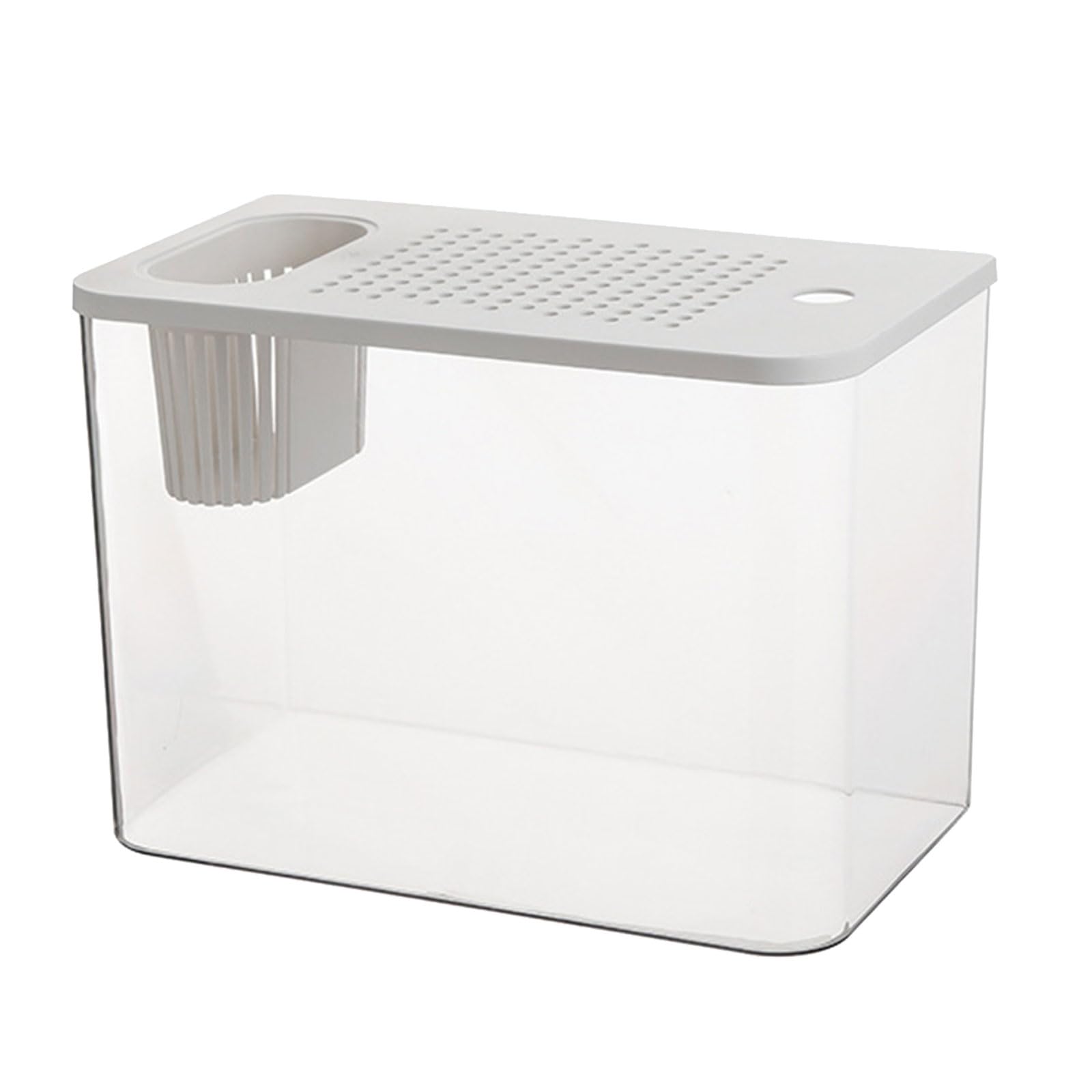 Modernes Leckdichtes Aquarium Mit Kindlich Sicherer Deckel Und Pflanzenhalter Home Office Desktop Fisch Lebensraum Ökologische Fischtanks