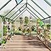 Takywep 6 x 9 FT Walk-in Outdoor Greenhouse with Polycarbonate Panels, Heavy Duty Aluminum Frame Greenhouse Kit with Lockable Door, Adjustable Roof Vent & Large Interior for Garden Planting, Green