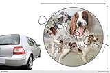 Pets-easy