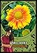 Flower Magic Oracle Cards: 44 full colour cards & 110pp guidebook