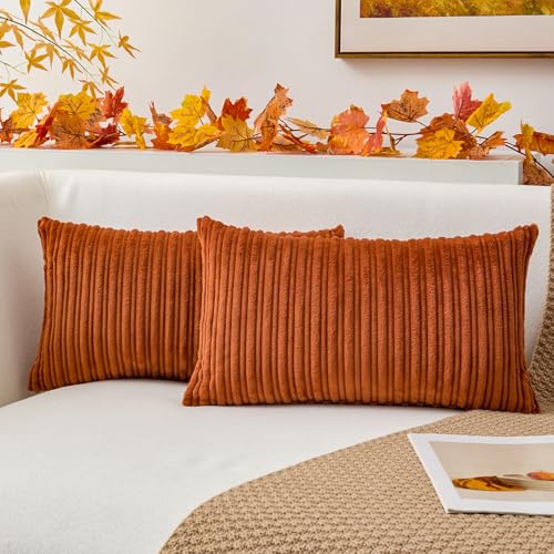 Kevin Textile Fall Pack of 2 Corduroy Soft Soild Decorative