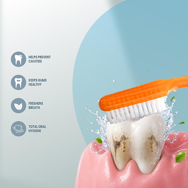 Image of MAXI Angular Hard Bristles Toothbrush with Anti-Bacterial Travel Case | Big Brush Head for Deep Plaque Removal & Stain Cleaning | Multicolor Pack of 4