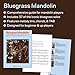 Bluegrass Mandolin - Instruction Book | Mandolin Sheet Music with Tablature and Classic Tunes | Learn Fingerwork and Techniques from Bluegrass Legends | Beginner to Advanced Mandolin Songbook