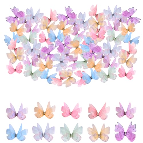 60Pcs Mini Fabric Butterflies for Crafts Colorful 3D Butterfly Applique 10 Colors Double Mesh Butterfly Ornaments Butterfly Decorations for DIY Hair Clips Clothes and Hats(5 * 3.5cm)