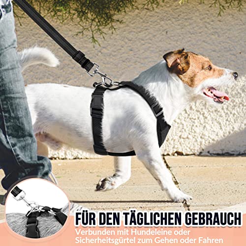 SlowTon Hundegeschirr für Hunde, No Pull Sicherheitsgeschirr Kleine Mittlere Hunde Brustgeschirr Dog Harness Weich Gepolstert Atmungsaktiv