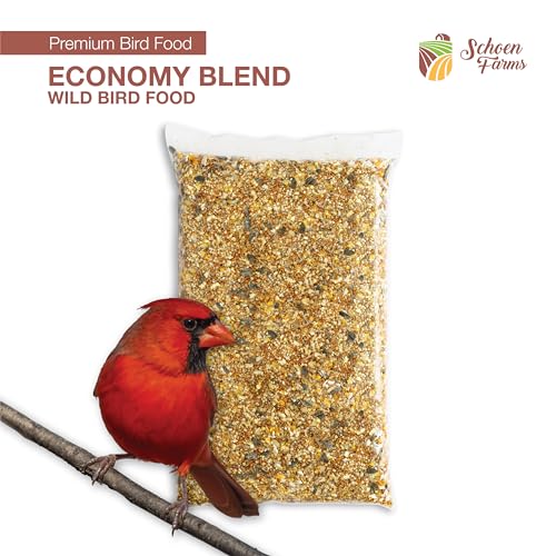Schoen Farms Economy Blend Wild Bird Seed – 3.18 kg Bag – Budget-Friendly Seed Mix for Cardinals, Finches & Sparrows – Grown in Canada - Image 3