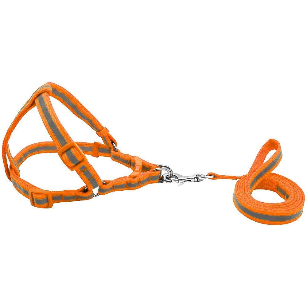 Emily Pets Nylon Reflective Dog Harness Leash Set Adjustable Heavy Duty No Pull Halter Harnesses for Small Medium Large Breed Dogs Back Clip Anti-Twist Perfect for Walking(Orange) (B08MKXQMYN) Amazon Price History, Amazon Price Tracker