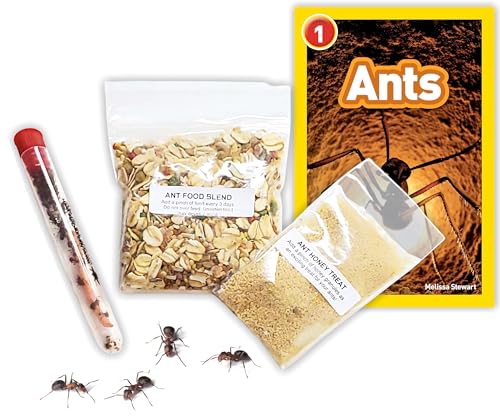 1 Tube of Live Ants Plus Ant Food Honey Treat & Book Ant Habitat Kit Refill