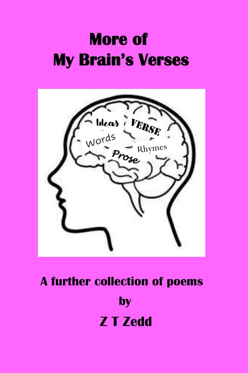 More of My Brain's Verses