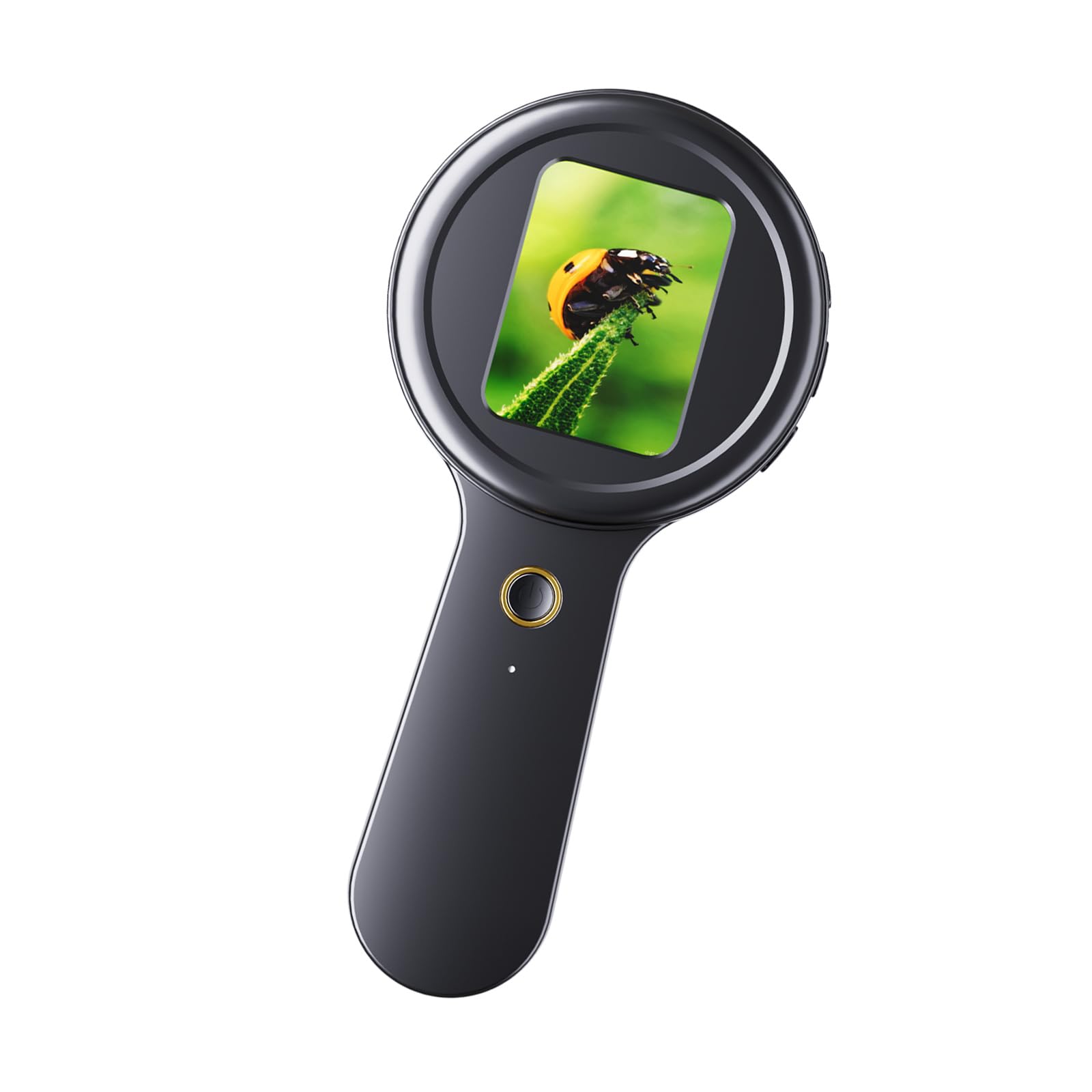 Science Exploration Digital Microscope Children High Resolution Magnifier Portable Waterproof for Classroom Experiments Kids Digital Microscope