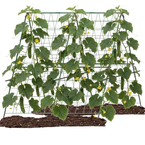 Cucumber Trellis for Raised Beds 47*47 A-Frame Garden Trellis with Netting for Climbing Plants Plant Support Trellis for Cucumber Tomato Bean Pea Vine