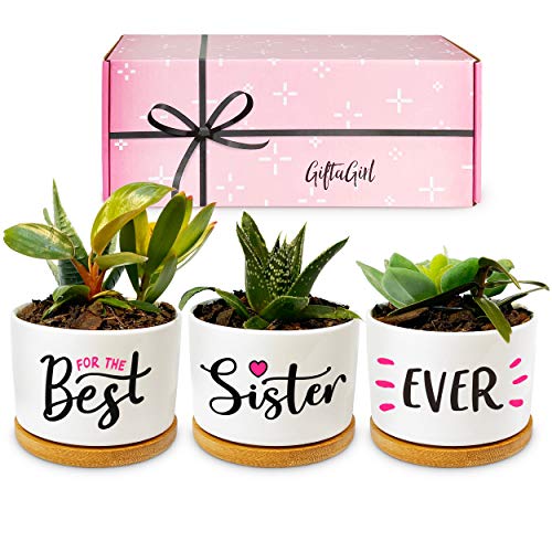 GIFTAGIRL Sister Mothers Day or Birthday Gifts for Sister - Lovely Mothers Day or Birthday Gifts for Sister, our Best Sister Pots are Pretty Gift Ideas for any Sister and Arrive Beautifully Gift Boxed