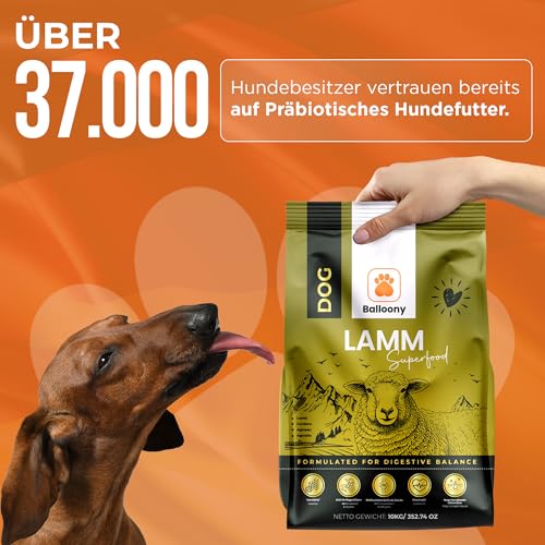 Hypoallergen | Getreidefreies Hundefutter trocken | Lamm & Reis | Magen schonend für ernährungssensible Hunde | Mit hohem Fleischanteil (3kg)