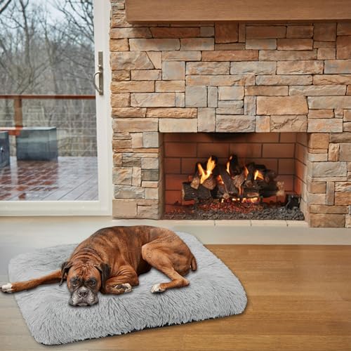 Domarex Hundebett Katzenbett weich flauschig 70x50 cm - orthopädisches Haustierbett für kle-ine Hunde & Katzen - rutschfestes, pflegeleichtes Kuschelkissen aus Polyester mit Silikonfüllung - Grau