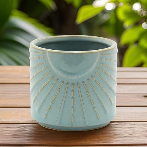 The Bridge Collection Vaso de cerâmica azul com feixe de sol - vasos de suculentas - orquídea, flor,