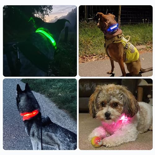 Nepfaivy Leuchthalsband Hund USB Aufladbar - Hundehalsband Leuchtend mit Verstellbarer Länge für Mittelgroße bis Große Hunde, LED Halsband Hund 6 Farbwechsel für Nacht Sicherheit(Mehrfarbig-M)