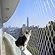 Schleuder katzennetz für Balkon,vogelnetze vogelschutznetz 5x5m, taubennetz Balkon, Nylon Multifilament Yarn,Starke Belastbarkeit, Teichnetz transparent