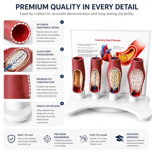 Arteria coronaria ampliada en PVC con simulación didáctica de bloqueo coronario 6