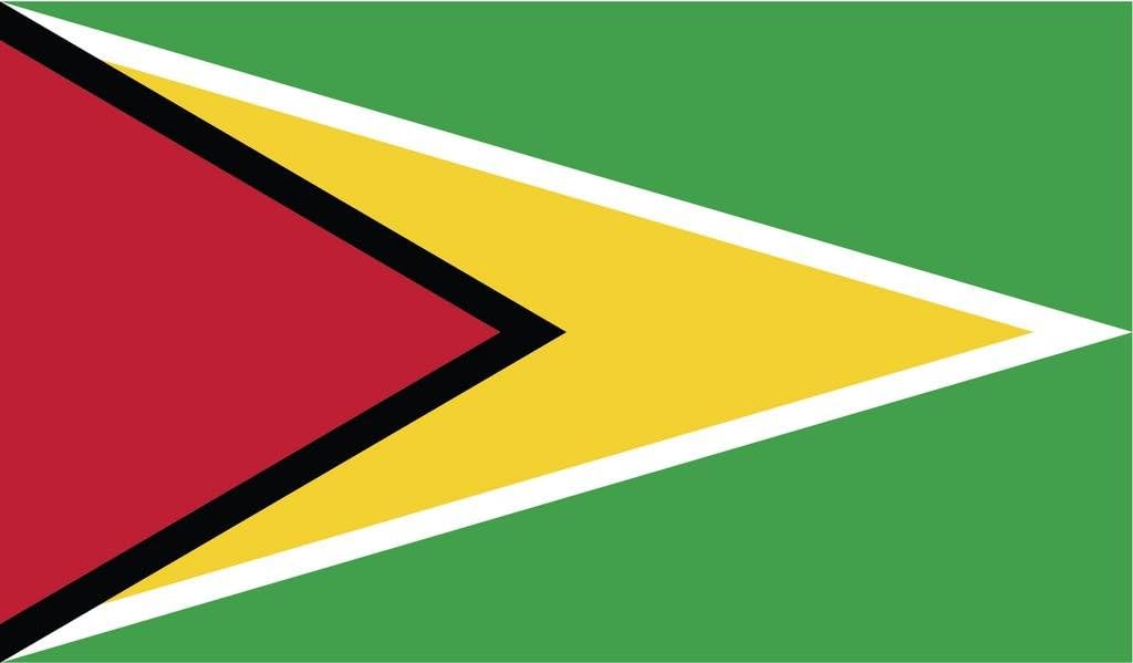 JMM Industries Guyana Flag Vinyl Decal Sticker Guyanese Car