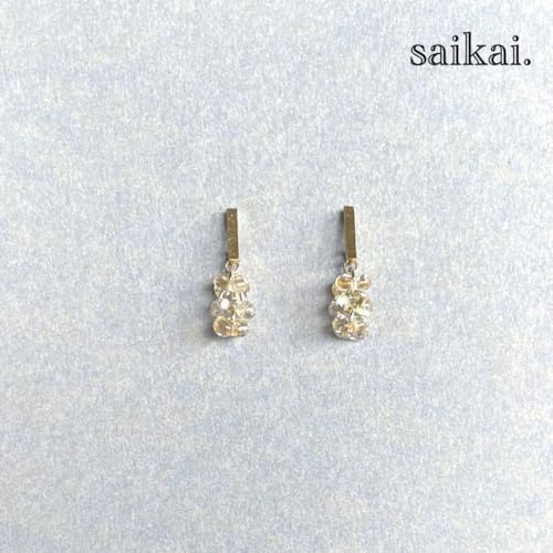 [617]`FRKXƃ^o[̃VvsAX NAS[h