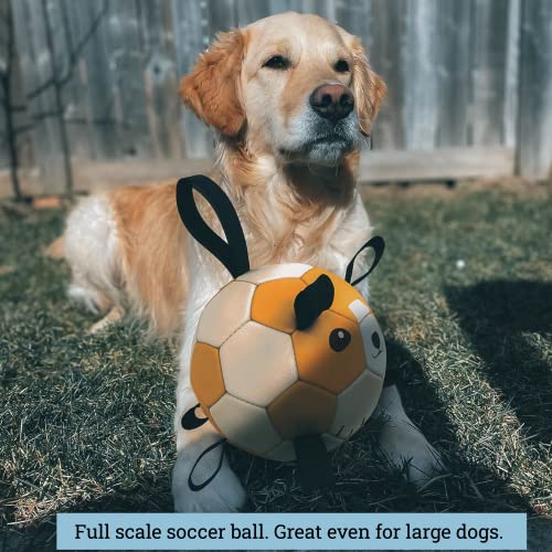 Best Outdoor Toys For Dogs Top 10 Outdoor Toys For Dogs 2025 Best outdoor toys for dogs top 10 outdoor toys for dogs 2025