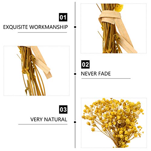 Garneck 3 Bunches Dried Flowers Babies Breath Flowers Natural Real Gypsophila Plants Bouquets Lasting Floral Décor For Diy Flower Arrangement Home Fragrance (Yellow) #TOP4