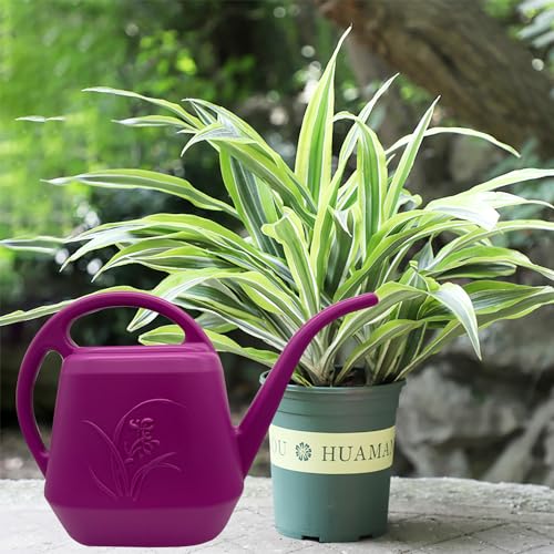 VKPLITE Plant Watering Can - Rose Red - 1/2 Gallon