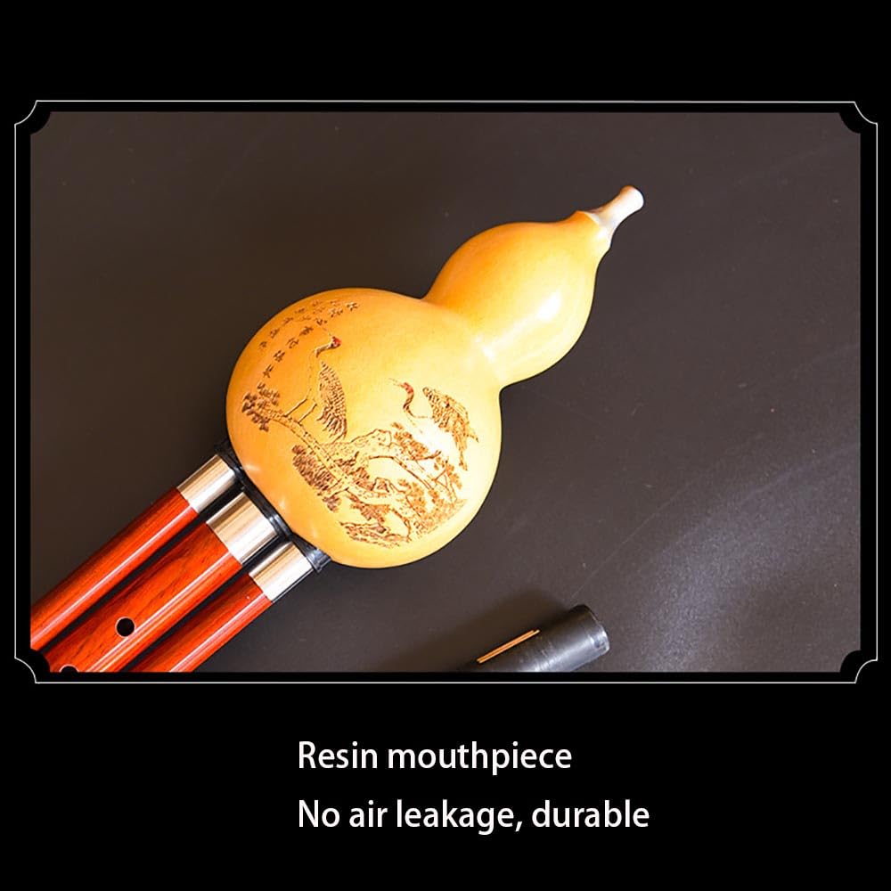 Hulusi Flûte professionnelle en forme de cucurbitacée en bois rouge double ton F+G Touche Bb+C Clé D+C mineure avec nœud chinois