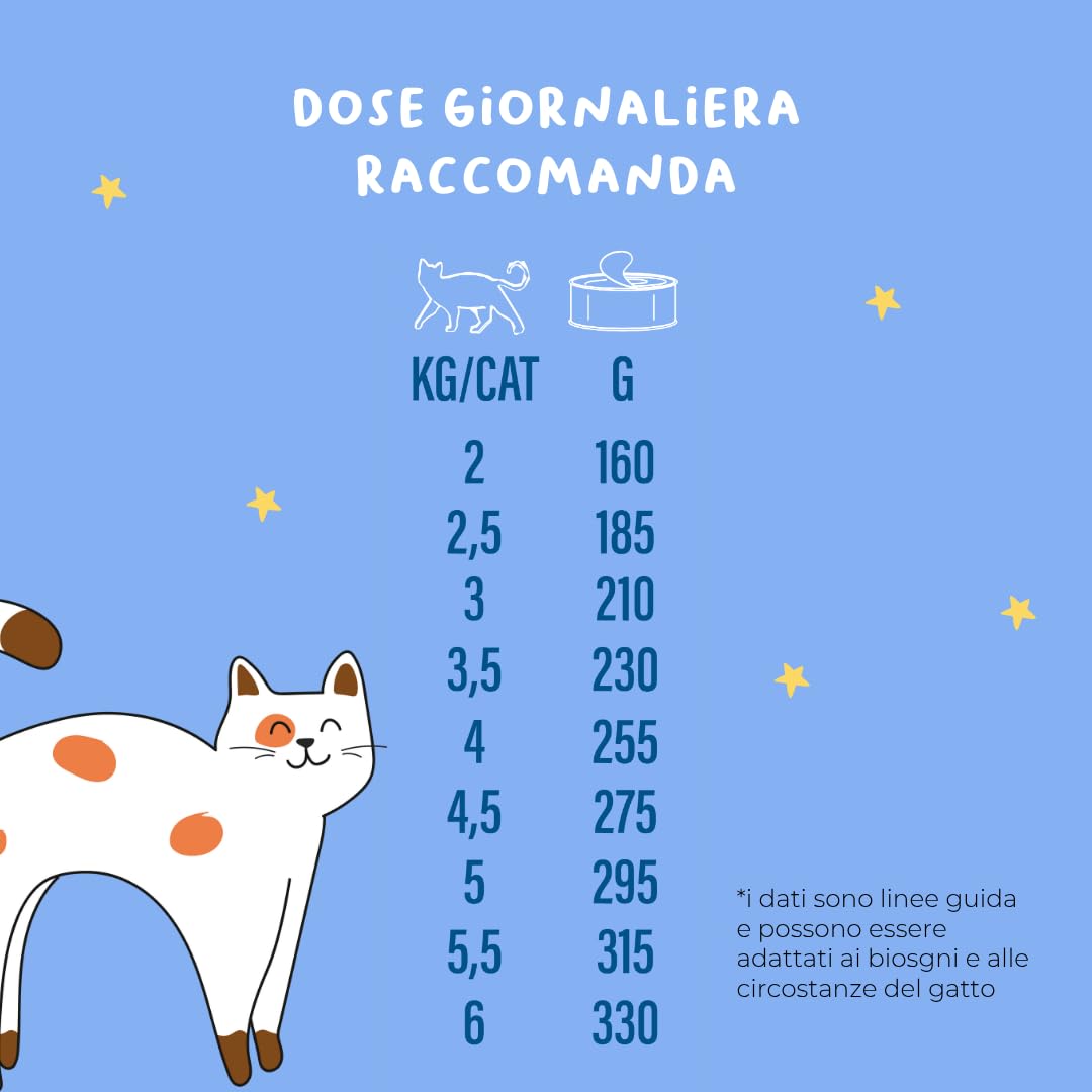 Filetes de atún al 70% | Comida húmeda para gatos sin granos con omega 3 y 6 | Cajas de gato 36 x 70 g naturales | Comida para gatos completa sin cereales | Fabricado en Italia | Hygge Cat