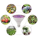 Chip LED de alta calidad, bajo consumo energético y alta eficiencia luminosa.