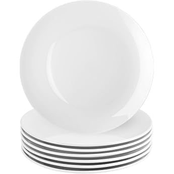 Set of 6 White Porcelain Dinner Plates Round Salad Plates 25 cm