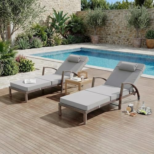 Garvee Outdoor Chaise Lounge Set of 2
