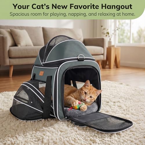 Morpilot Top and Side Expandable Cat Carrier, Airline Approved Collapsible Soft-Sided Pet Carrier for Medium/Large Cats and Puppies up to 20lbs for Car Rides and Vet Visits (Dark Gray) - Image 4