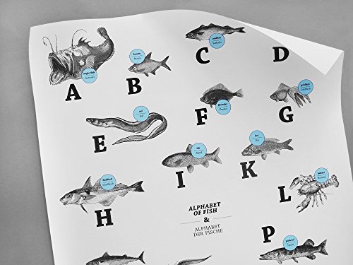 ABC der Fische / alphabet of fish in Deutsch/Englisch, DIN A1, Plakat, Poster - 2