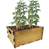tomates plantados en botellas 【Sustrato para huerto urbano】 Este kit de cultivo incluye una mezcla de sustratos ideales para el desarrollo de los tomates. Se debe mezclar humus de lombriz y fibra de coco en proporción: 40% humus 60% fibra de coco. También, se le añade la vermiculita y la arlita. Periódicamente, se recomienda añadir una cucharada de fertilizante para aumentar más aún el crecimiento de las tomateras.