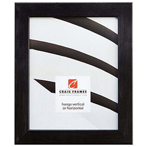 Craig Frames Bauhaus, Modern Black Pine Picture Frame, 18 By 24-Inch #TOP15