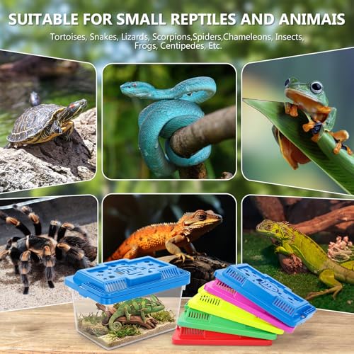 Image of LemonRoad 25 Pcs Plastic Reptile Terrariums Carrier Cage Enclosure Snake Breeding Box Hatching Container Fish Tank with Ventilated Lid for Tarantula Spider Turtle Lizard (Cute,5.1x3.5x3.5 Inch)