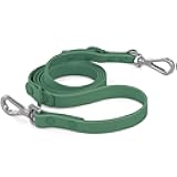 Wisedog Waterproof Dog Leash – 5ft/6ft Adjustable with 2 Metal Swivel Hooks, Easy to Clean Dog Leashes for Small, Medium, Large Breed Dogs (Pine Green M)