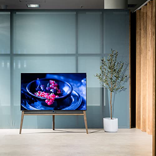 Realead 5Ft Artificial Olive Tree, Large Fake Potted Olive Silk Tree Faux Olive Plants In Plastic Nursery Pot, Artificial Trees For Modern Home Office Living Room Floor Decor Indoor (60In) #TOP5