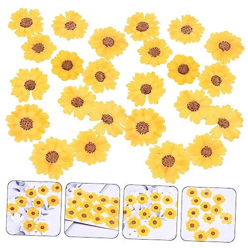 Flores prensadas secas para manualidades 48 unidades miniatura 2