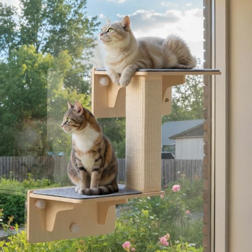 Image of Pecute Double Cat Shelves with Scratching Post for Wall & Window | Solid Wood Frame, Strong Suction Cups, Washable Cover Mat, Cats Perch Bed for Birds Watching Inside, Indoor Cat Hammock Bed