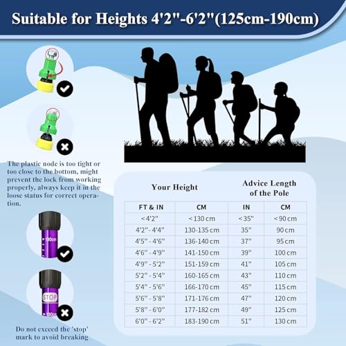 Image of Trekking Poles (2 Pack), Collapsible & Adjustable Hiking Sticks for Men & Women, Lightweight Aluminum Walking Poles with Anti-Shock System & Accessories - for Trekking, Hiking, Walking (Purple)