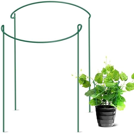 Amazon Co Jp Onev Ft 植物支柱 花ささえ 園芸支柱 つる性植物 観葉支柱 誘引 支柱 植物サポート フラワースタンド 花支え 支柱棚 フラワー支柱 ガーデニング 農業用 園芸用 2個セット Diy 工具 ガーデン