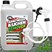 5L Mould Algae & Lichen Remover Spray and Leave Ready To Use With Convenient Long Hose Trigger (1)