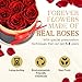 CHOSIAROSE Roses Forever Flowers for Delivery - 7 Forever Preserved Roses in Box, Preserved Flowers Gifts Anniversary Birthday Gift for Mom Grandma Wife Women Valentines Rose Gift for Her Girlfriend