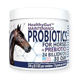 HealthyGut™ Probiotics for Horses Dietary Supplement, All-Natural Digestive System Maintenance Formula (30 Days)