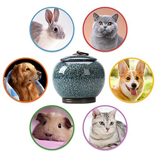 Uziqueif Urnen für Haustiere, für Asche, Katze/Hunde, Andenken an Asche, Andenken an Asche, Andenken an Hundeasche aus Keramik, personalisierbar, Dekoration zu Hause, Küche, Garten, Büro, Blau